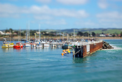 Photo.47