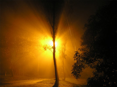 Photo.41
