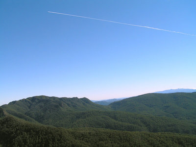 Photo.40